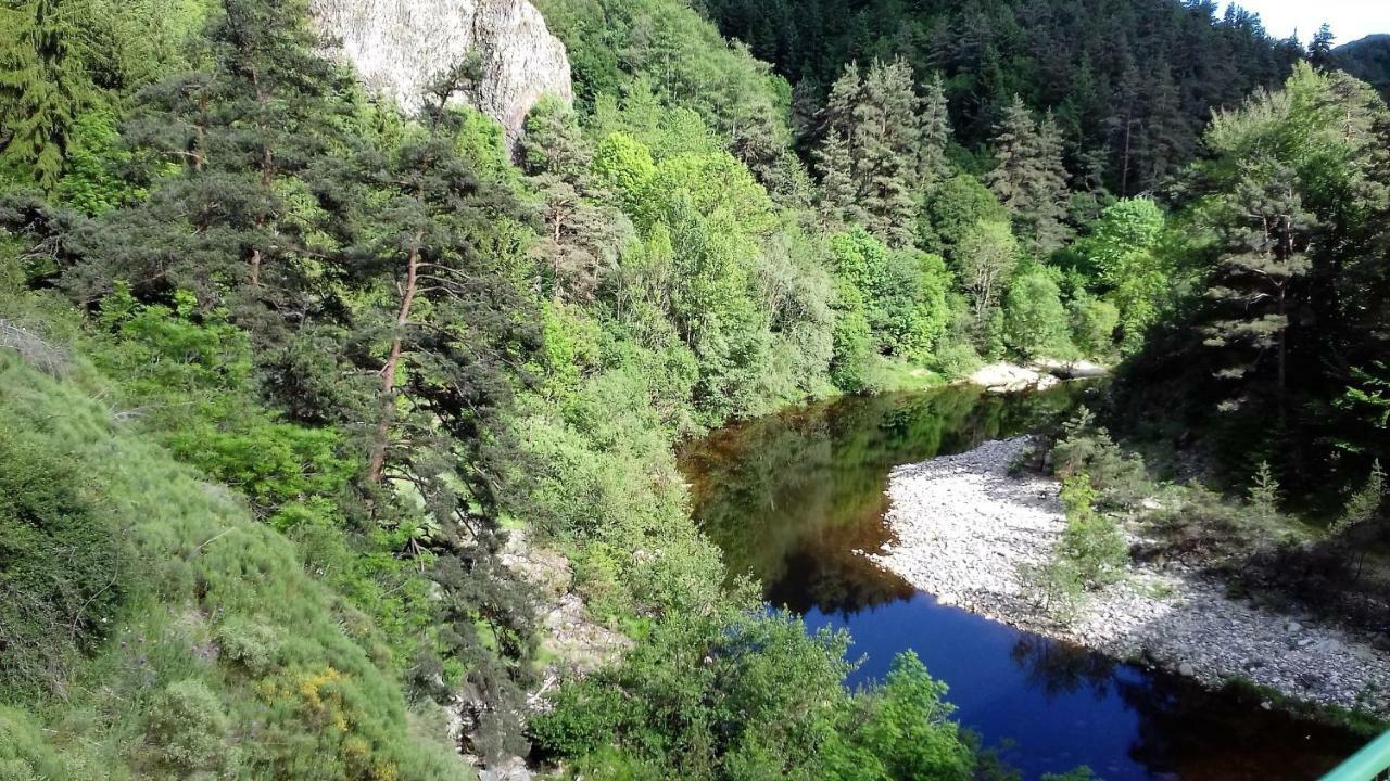 Le Petit Dyke Apartman Le Puy-en-Velay Kültér fotó