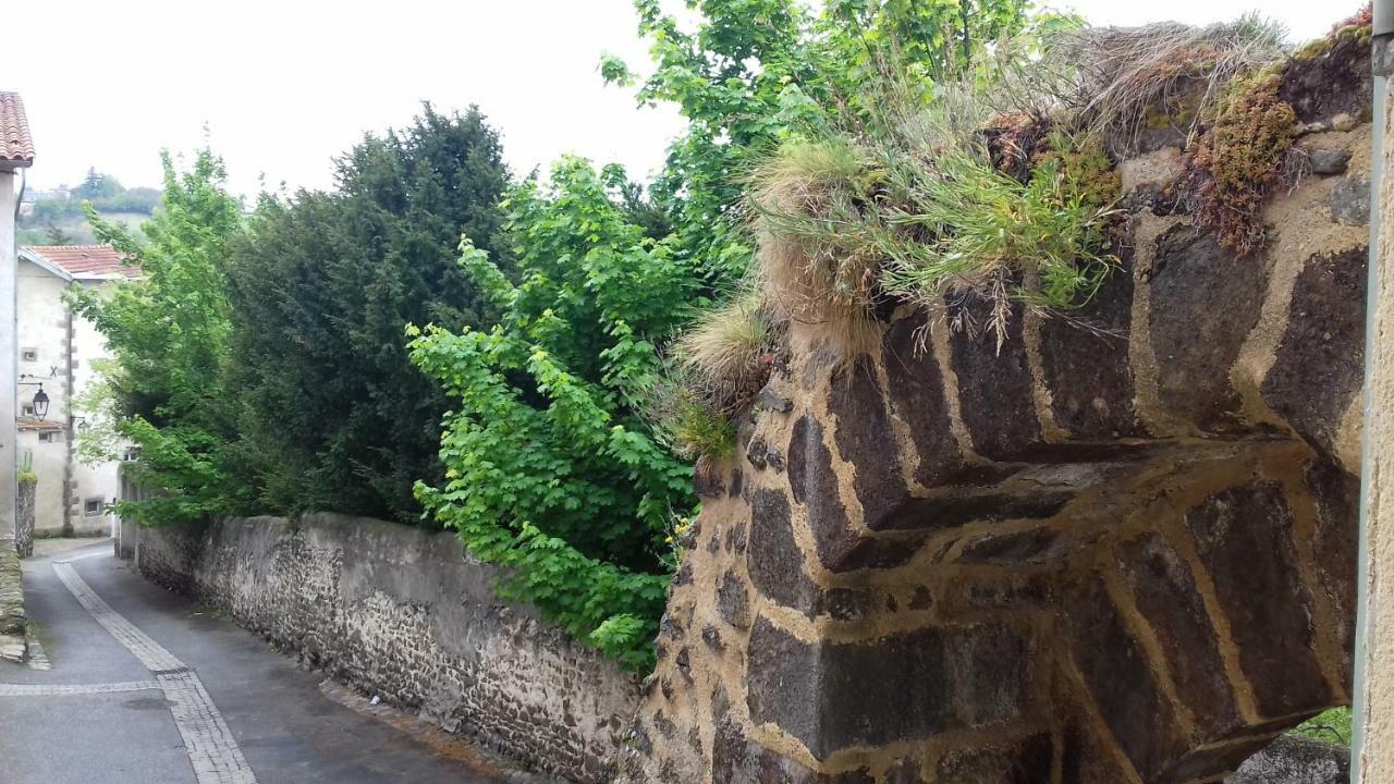 Le Petit Dyke Apartman Le Puy-en-Velay Kültér fotó